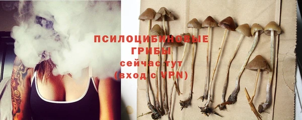 шишки Семилуки