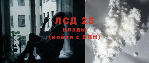 ПСИЛОЦИБИНОВЫЕ ГРИБЫ Белоозёрский