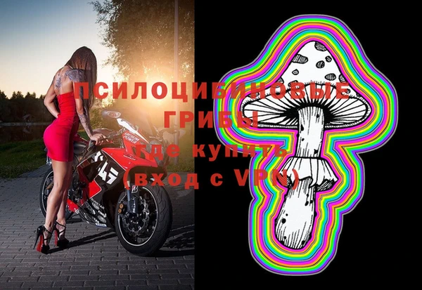 a pvp Беломорск